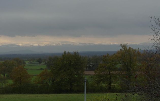 REPRISE  EN  DOUCEUR