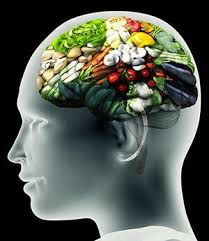 Bien alimenter son cerveau. Combattre le déclin cognitif.
