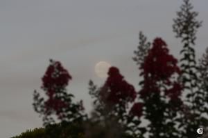 Pleine Lune d'août 
