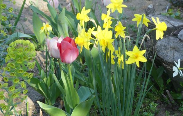 PROMESSES, PROMESSES....