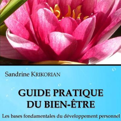 Livre : Guide pratique du bien-être. Les bases fondamentales du développement personnel