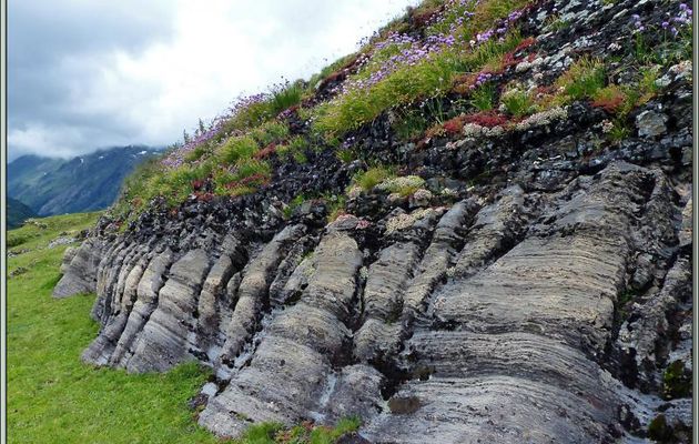 Rocher aux joubarbes (ou joubardes mais ce terme est inexact) et ciboulettes - Varrados - Val d'Aran - Espagne 