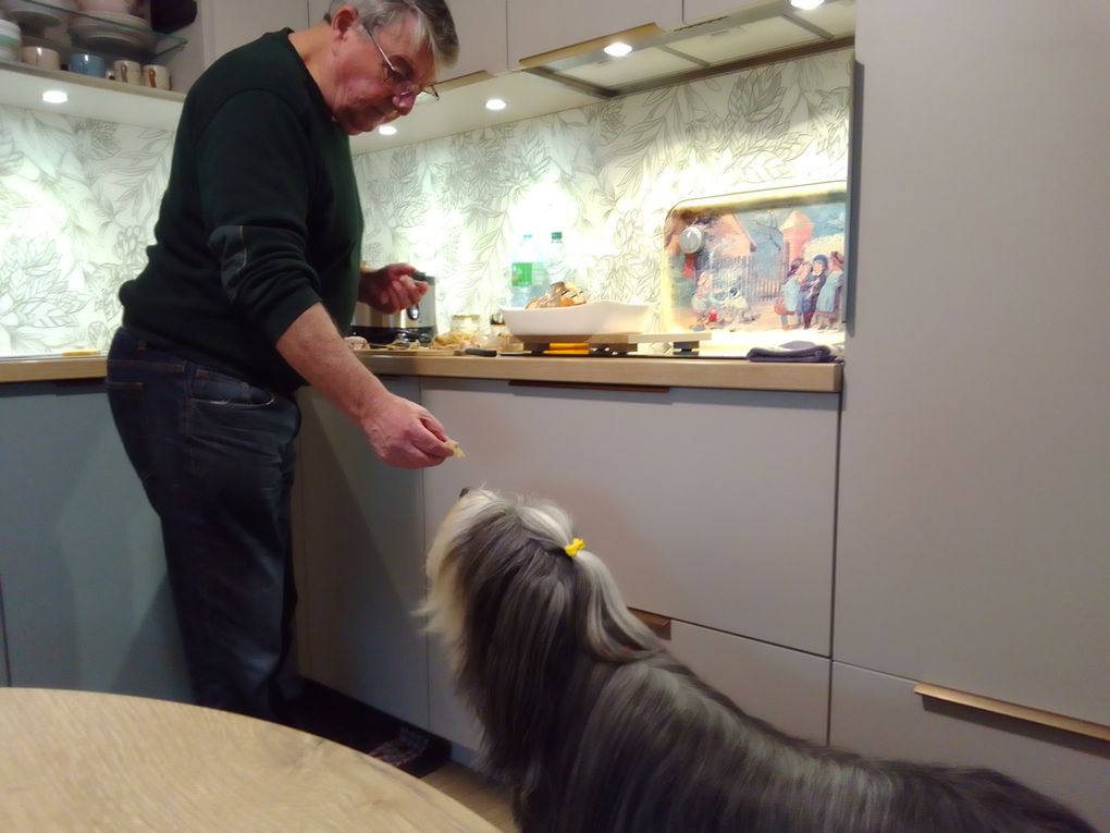 diaporama * Tavia la gourmande - photos du 25.10.2025 " Juste un p'tit bout STP pôpa" !! lol