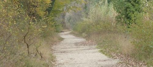 La plaine de l'abbaye (Villeneuve-Lez-Avignon)