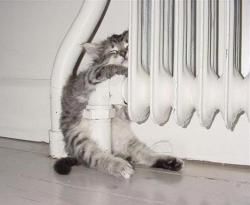 Chatitudes.....