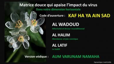 Matrices douces qui apaisent l'impact du virus et nous replacent dans notre verticalité