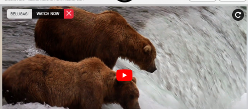 Explore.org