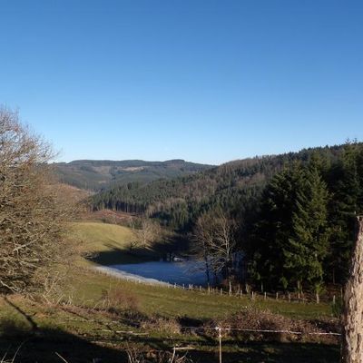 Les Bottières dans le Rhône..rozyrosy