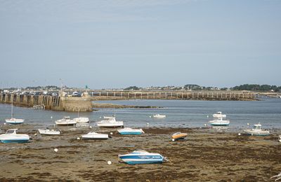 29 ... (et plus) : Roscoff différent. 2/3.