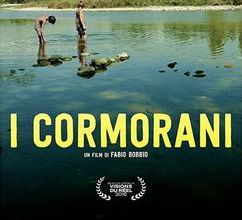 I cormorani. 2016. HD.