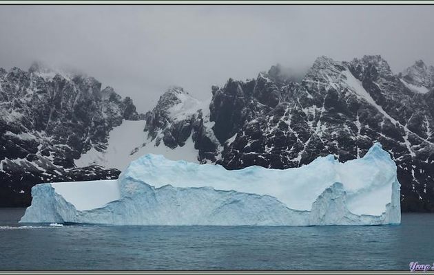 Sortie d'un iceberg du Fjord Drygalski - Géorgie du Sud