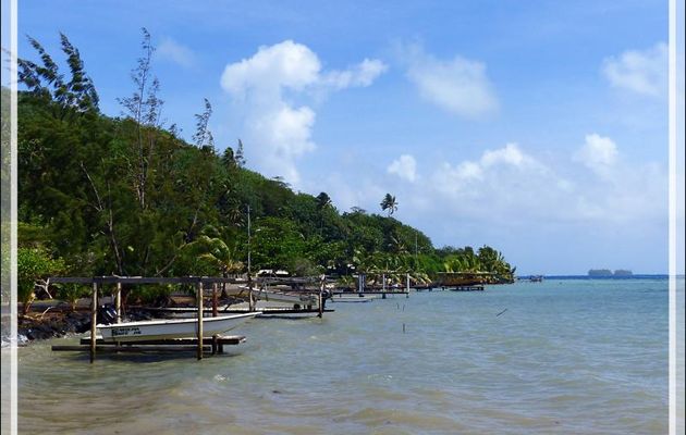 Extrême est de Tahaa : nous allons faire un tour dans "la Vallée de la vanille" - Polynésie française