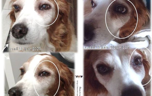 Emy - bonnes nouvelles