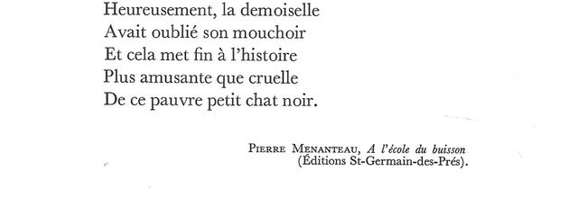 Pierre Menanteau - Histoire du petit chat enfermé dans l'armoire