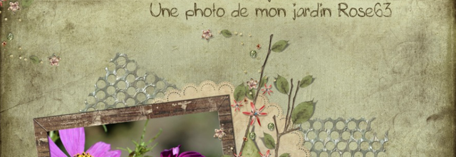 Bonne fin de semaine à vous 