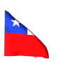 Carlos Palma Cruchaga