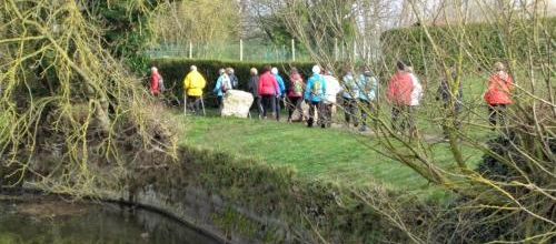 Bergues-bois des forts 19/03/19 : les photos