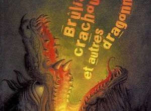 BRULIS, CRACHOUILLIS ET AUTRES DRAGONNERIES