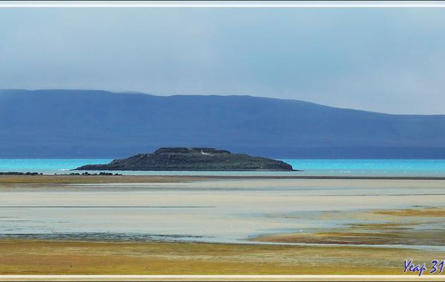 L'Isla Solitaria et la lagune du Lago Argentino avec ses oiseaux - El Calafate - Patagonie - Argentine 