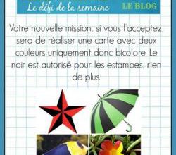 Passion Cartes Créatives #439