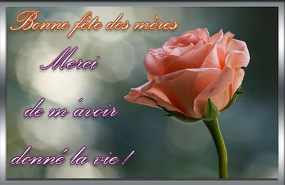 Merci Maman de m'avoir donné la Vie ! - Bruno