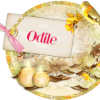 signatures animees, automne 2