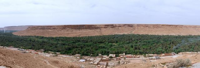 Oasis du Tafilalet