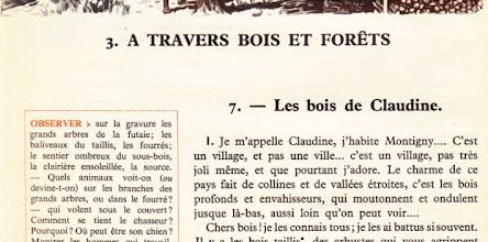 Dumas CM S3 A travers bois et forêt