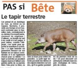 {projet journal} Du Tapir Terrestre au Maki Catta...