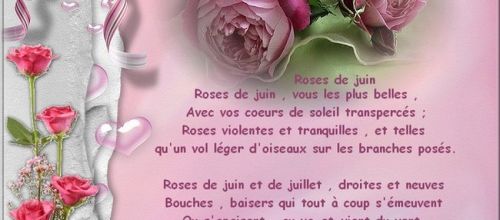 Défi " Roses " pour pat 