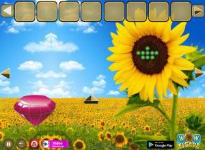 Golden flower land escape soluce