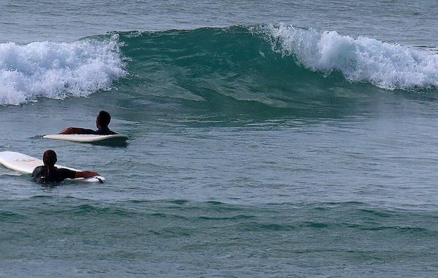 du surf  à Soorts Hossegor