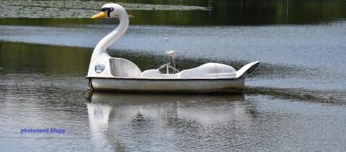 hep taxi !