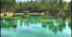 Marche Douce/ CR - LAC  BLEU - LEOGNAN