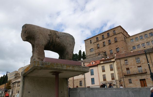Les 14 et 15 avril 2025 : Salamanque 1 : la cathédrale
