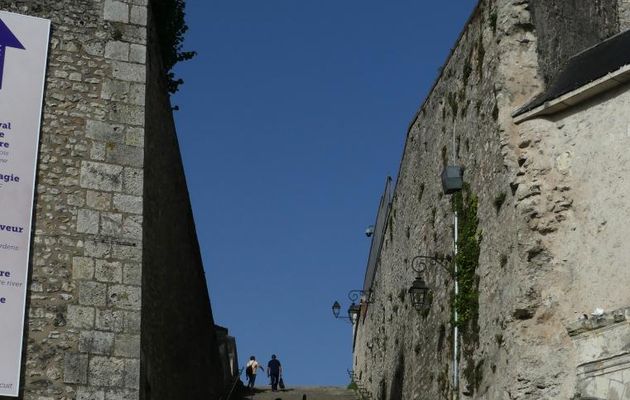 BLOIS  4  CHATEAUX  EN  UN - MEDIEVAL -  GOTHIQUE - RENAISSANCE - CLASSIQUE
