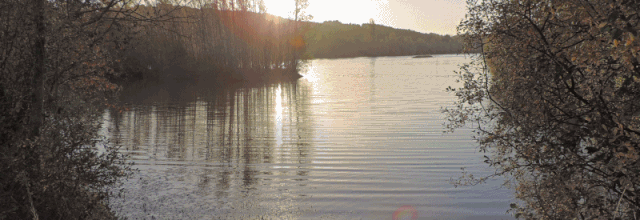 ma photo gif du jour 