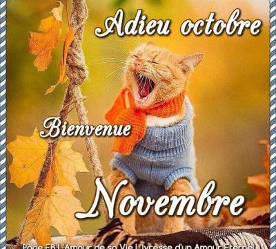 bye bye octobre, le soleil a joué les prolongations