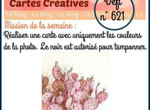 Passion Cartes Créatives#621 !