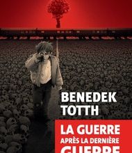 DOWNLOAD [PDF] {EPUB} La guerre après la dernière guerre