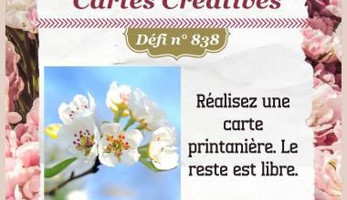 Passion Cartes Créatives#838 !
