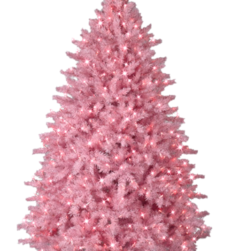 Noel en rose avec son père Noel