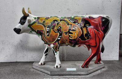 Vaches urbaines - Aveiro - Portugal