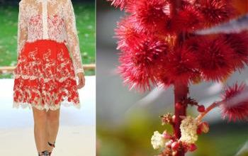 mode fashion garden flowers