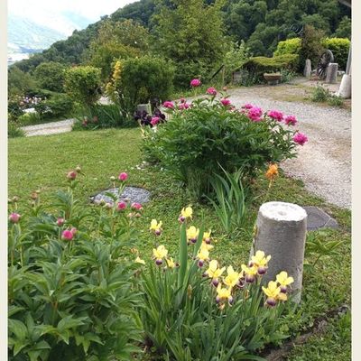 Mai 2025 Mon jardin