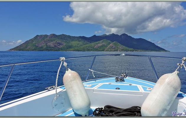 12/12/2021 : arrivée dans le minuscule port artificiel de l'île Silhouette et installation dans notre superbe petit hôtel, La Belle Tortue  - Seychelles