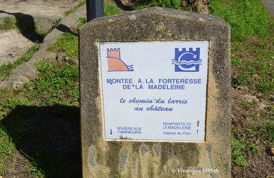 Ville de Chevreuse : Le château de la Madeleine