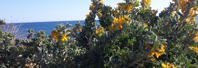 Le Cap d'Agde..