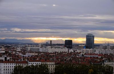 Voyage autour du 6 novembre - Douceurs en famille - Le retour