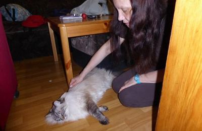 Voyage Transsibérien 2017, le 17/07, 10 ème jour, Musée de l'architecture "Taltsy"